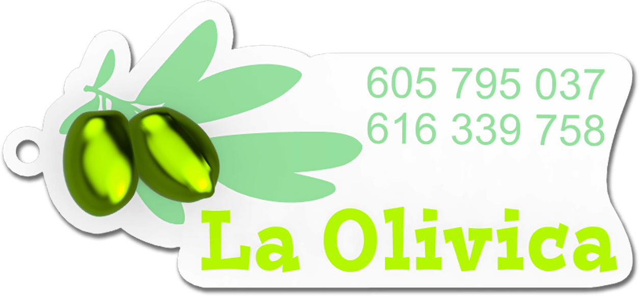 Llavero La Olivica 3D
